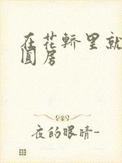 在花轿里就开始圆房