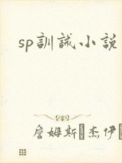 sp训诫小说