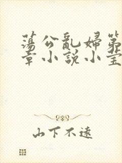荡公乱妇第51章小说小莹