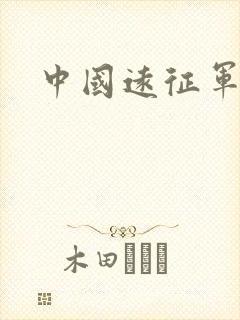 中国远征军小说