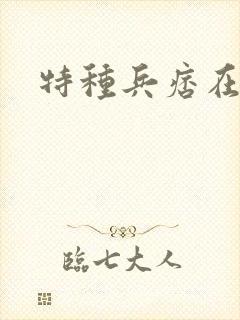 特种兵痞在都市