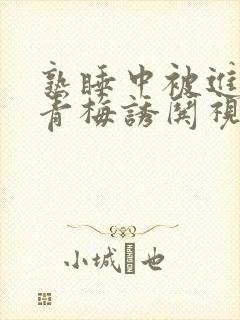 熟睡中被进了H青梅诱哄视频