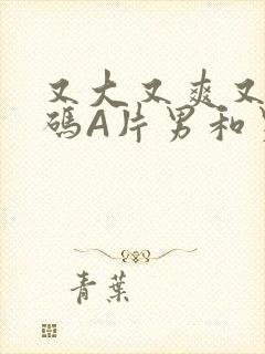 又大又爽又黄无码A片男和男