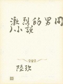 激烈的男同(h)小说