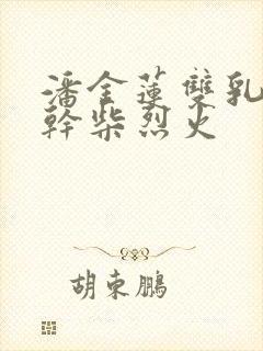 潘金莲双乳晃动干柴烈火