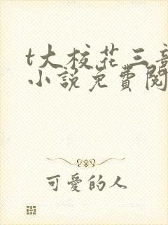 t大校花三部曲小说免费阅读全文