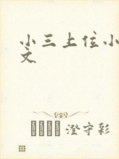 小三上位小说全文