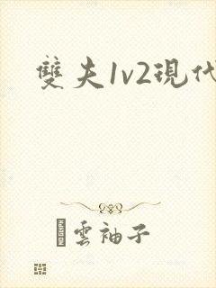 双夫1v2现代
