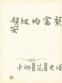 超级肉禽系统保安