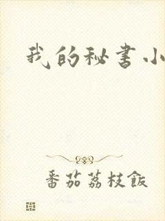 我的秘书小姐