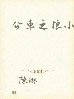 公车之狼小说