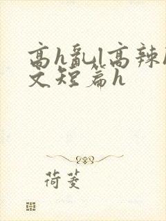 高h乱l高辣h文短篇h