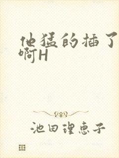 他猛的插了进去啊H