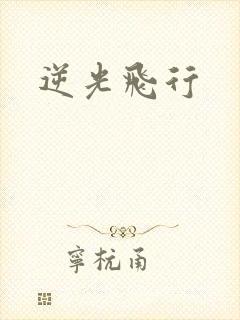 逆光飞行