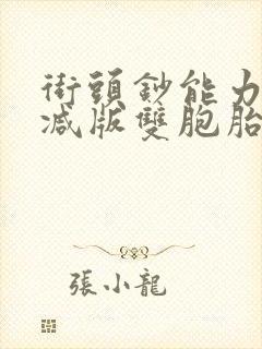 街头钞能力无删减版双胞胎