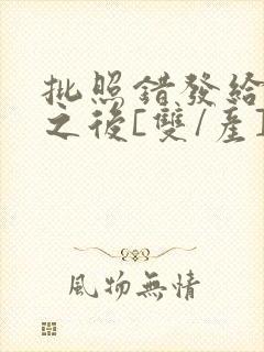 批照错发给情敌之后[双/产]