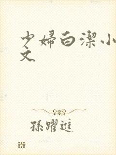 少妇白洁小说全文