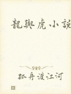 龙与虎小说