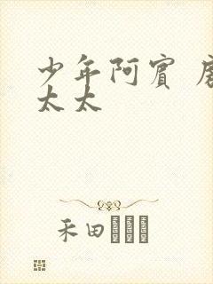 少年阿宾 房东太太