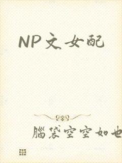 NP文女配