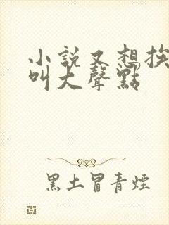 小说又想挨C了叫大声点