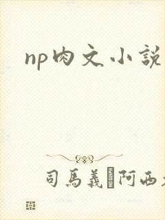np肉文小说