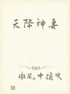 天降神妻