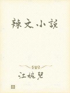 辣文小说