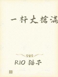 一杆大枪满屋扫