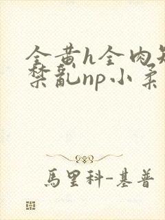 全黄h全肉短篇禁乱np小柔