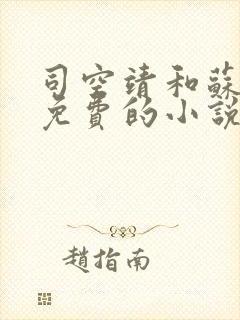 司空靖和苏月汐免费的小说笔趣阁