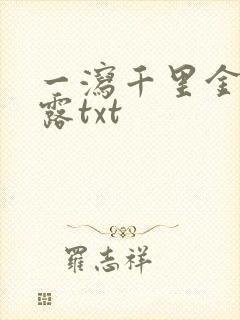 一泻千里金银花露txt