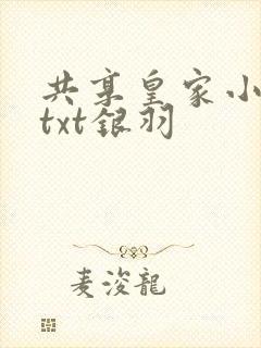共享皇家小公主txt银羽