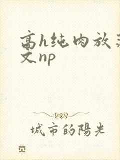 高h纯肉放荡h文np