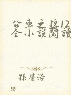 公车之狼12集全小说阅读