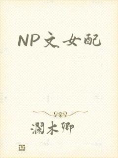 NP文女配