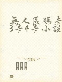 无人区码卡二卡3卡4卡小说