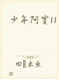 少年阿宾11