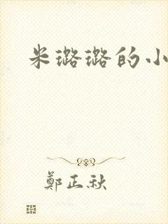 米璐璐的小说