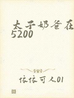 太子奶爸在花都5200