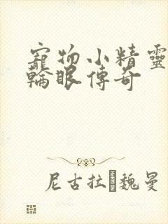 宠物小精灵之写轮眼传奇