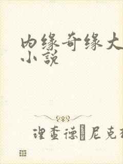 内缘奇缘大团圆小说