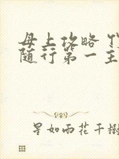 母上攻略 竹影随行第一主板