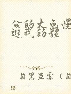 公的大龟慢慢挺进我的体