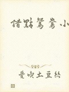错点鸳鸯小说