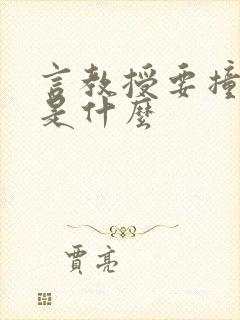 言教授要撞坏了是什么