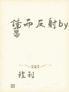 镜面反射by九葛