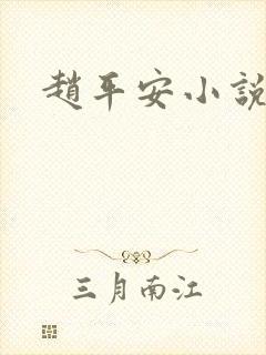 赵平安小说主角