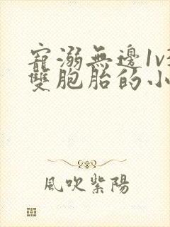 宠溺无边1v3双胞胎的小说