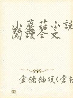 小蘑菇小说免费阅读全文